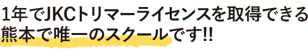 1年でJKCトリマーライセンスを取得できる熊本で唯一のスクールです!!